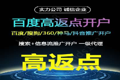 某电商平台的SEM策略与效果展示